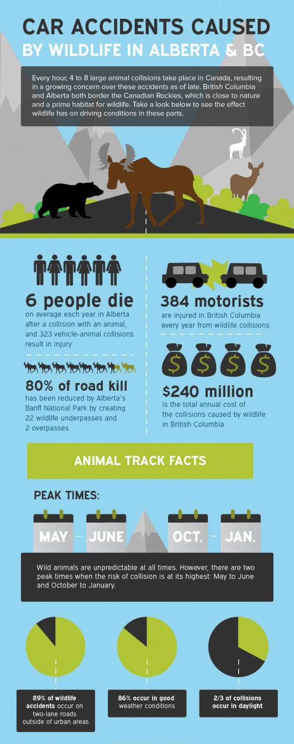 Car Accidents in Alberta and BC I Desjardins Insurance Car Accidents in Alberta and BC I Desjardins Insurance