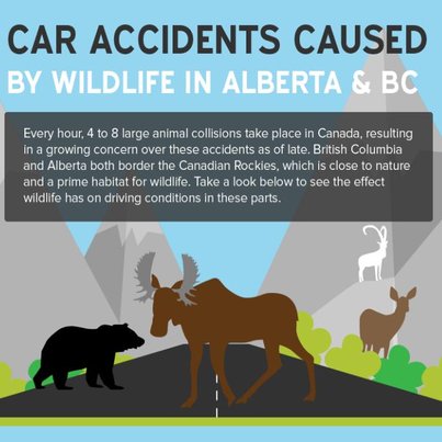 Car Accidents in Alberta and BC I Desjardins Insurance
