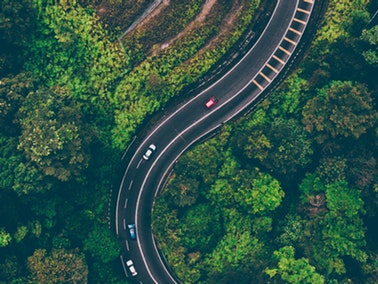 aerial view of cars on the road surrounded by lush green trees