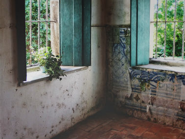mold in house