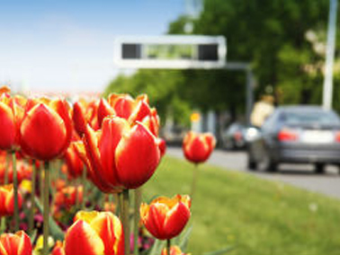 Follow these spring car maintenance tips to ensure your car is in top shape.